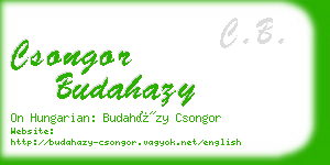 csongor budahazy business card
